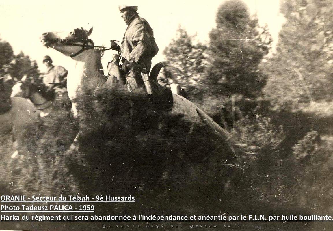 Palica - Divers 017.JPG